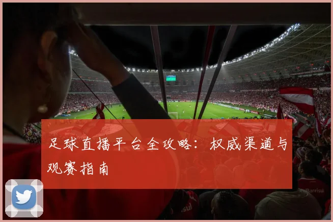 足球直播平台全攻略：权威渠道与观赛指南